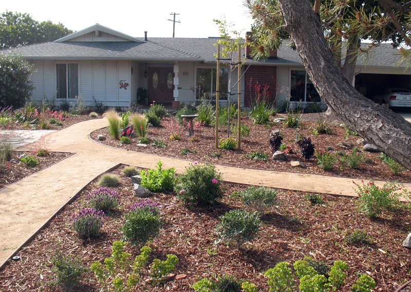 10 Tips for Saving Water in the Garden | Stockdale Real Estate Group